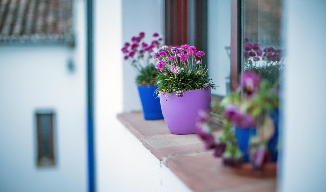 Buddhalounge Apartments รอนดา ภายนอก รูปภาพ